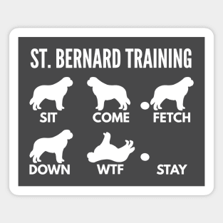 St. Bernard Training - Saint Bernard Tricks Magnet